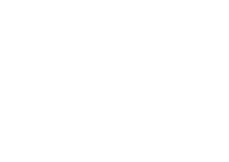 we-20-yrs-logo-white